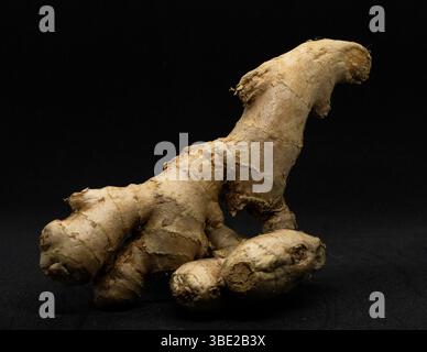 Fresh Ginger Rhizome Isolated on Black Background – Macro Food Shot Stock Photo