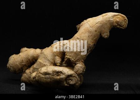 Fresh Ginger Rhizome Isolated on Black Background – Macro Food Shot Stock Photo