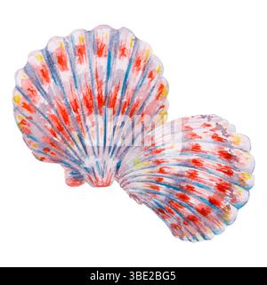 Two colorful scallop seashells painted in watercolor with vibrant red, blue, and yellow details. Artistic marine-themed illustration, suitable for Stock Photo
