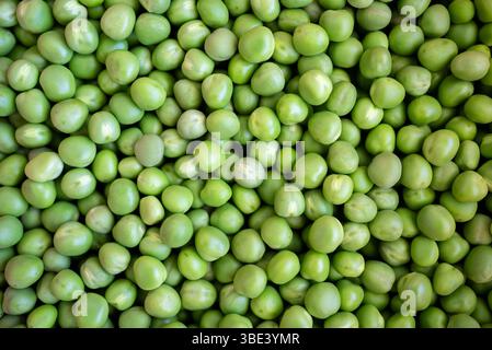 Close-up of fresh green peas. High quality photo Stock Photo