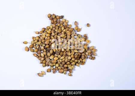 Whole coriander seeds on a white background, showcasing their natural texture and earthy color, perfect for culinary or spice-themed use. Stock Photo