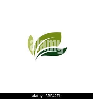 green leaf abstract beauty logo design. leaf organic icon Stock Vector