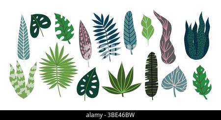 Set of Tropical Leaves, Flat Vector Illustration Stock Vector
