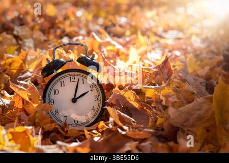 Alarm clock among golden yellow fall leaves with bright sunshine, autumn time change concept Stock Photo