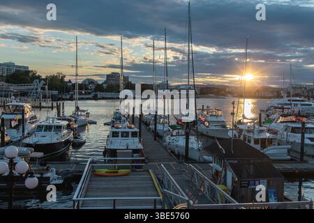 Scenic view of boats docked at a marina in Victoria, BC during a beautiful sunset with dramatic clouds and calm waters. Stock Photo