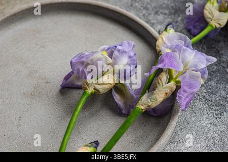 Top view of delicate, wilted iris flowers laying in a shallow, round concrete tray on a textured gray background. Stock Photo