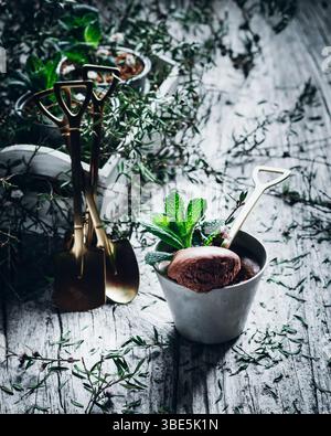 A rich chocolate mousse made from chocolate, eggs, cream, and sugar, elegantly garnished with fresh mint. Perfect for dessert enthusiasts seeking a mi Stock Photo