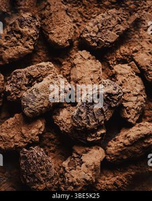 Dark chocolate truffles coated in rich cocoa powder. Each bite offers a creamy texture and intense chocolate flavor, perfect for chocolate lovers Stock Photo