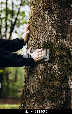 Hands gently touch the mossy surface of a tree trunk, emphasizing the connection to nature in a peaceful forest setting. The close-up captures the tre Stock Photo