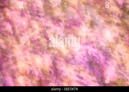A dreamy abstract image with soft, blurred pink and beige hues. The image captures a gentle, soothing atmosphere reminiscent of a floral landscape. Stock Photo