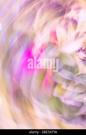 A captivating abstract image featuring a swirl of blurred pastel hues. The soft focus and blend of colors create a dreamy, artistic atmosphere. Stock Photo