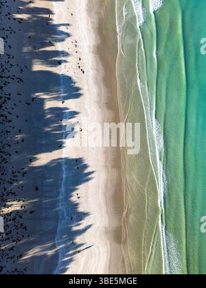 Aerial view of a peaceful beach where clear waves meet the sandy shore in Victoria, Australia. Shadows of trees create patterns on the beach, adding d Stock Photo