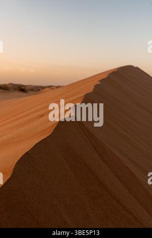 A breathtaking view of a sand dune in Wahiba Sands Desert, Oman, captured at sunset. The soft golden light highlights the dune's rippled texture, crea Stock Photo
