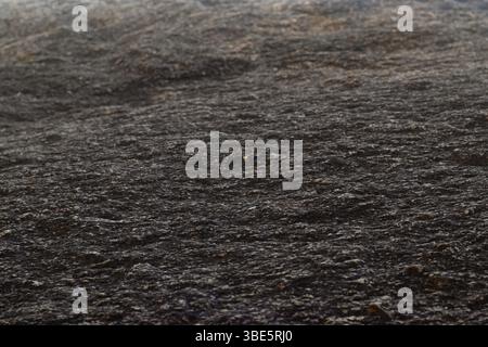 A rock close-up macro shot with dark texture and sunlight coming from top Stock Photo