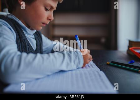 Boy pupil doing his homework at home Stock Photo