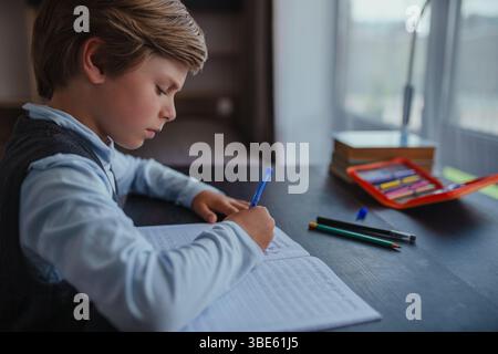 Boy pupil doing his homework at home Stock Photo