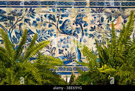 Traditional Portuguese Azulejos with Botanical Motifs at Palácio Fronteira, Lisbon, Portugal Stock Photo