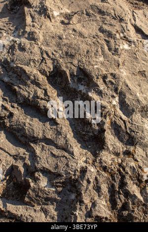 Dark rock close-up in daylight. Textured background Stock Photo