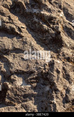 Dark rock close-up in daylight. Textured background Stock Photo