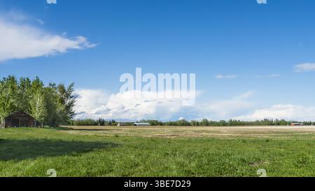 Alberta rural landscape with heavy rain clouds on horizon line Stock Photo