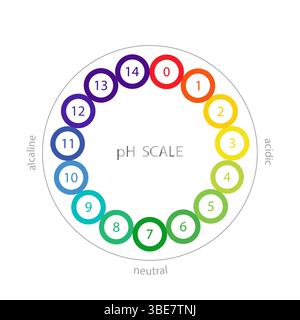 PH Scale. Acid and alkaline solution infographic. Chemical analysis or test. Vector illustration in flat style Stock Vector
