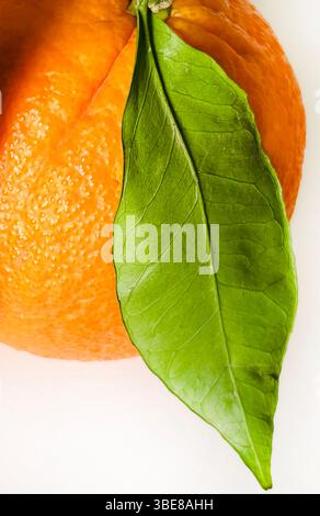 One orange with green leaf isolated on a white background. Healthy and vegetarian food. Close-up. Stock Photo