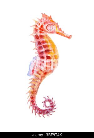 Underwater watercolor composition with red coral, tropical fish, bubbles, and two seashells. Bright marine illustration in blue and orange tones for Stock Photo
