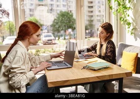 Two young women collaborate on their laptops in a cozy cafe filled with natural light. Stock Photo