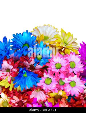 Colorful bouquet of crazy daisies spring flowers on white background with copy space Stock Photo