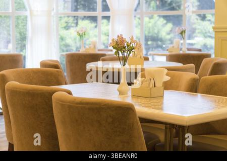 Modern restaurant interior with windows and flowers. cafe room illuminated by sunlight Stock Photo