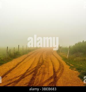A dirt road winds through a dense fog in Auvergne, France, creating a mystical atmosphere. The landscape is quiet, with soft tones blending Stock Photo