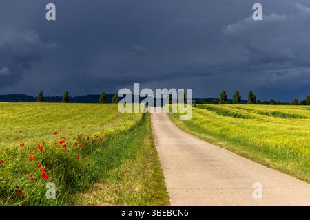 Gewitter in Hessen Dunkle Wolken eines aufziehenden Gewitters sind am Nachmittag am Himmel über Feldern zu sehen., Oberursel Hessen Deutschland *** Thunderstorm in Hesse Dark clouds of an approaching thunderstorm can be seen in the sky over fields in the afternoon, Oberursel Hesse Germany Stock Photo