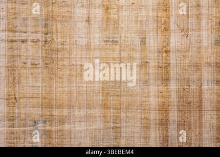 Texture - papyrus sheet Stock Photo