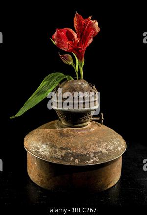 A vibrant red flower blooms from a vintage, rusty lamp, creating a striking contrast between old and new, life and decay, Odessa, Ukraine, Europe Stock Photo