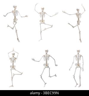 Collage of artificial human skeleton model on white background Stock ...