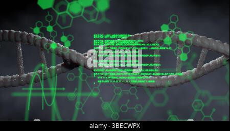 Image of dna rotating over chemical formulas and data processing on grey background Stock Photo