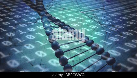 Image of binary coding data processing over dna strand spinning Stock Photo