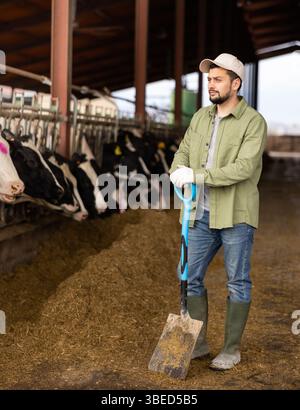 Farmer with shovel standing in cowshed Stock Photo - Alamy