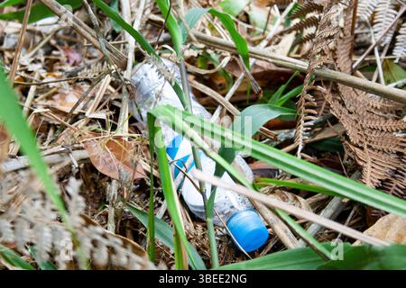 Disposable plastic bottle left abandoned on the ground in the jungle Stock Photo