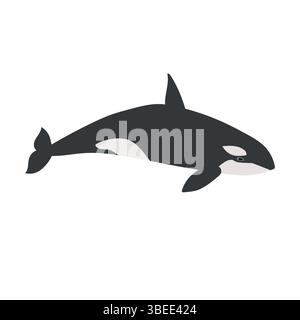 Hand drawn killer whale. Vector illustration in sketch style Stock ...