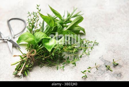 Freshly cut herbs including basil, mint, rosemary, and thyme tied together with twine laying on a gray table next to scissors Stock Photo