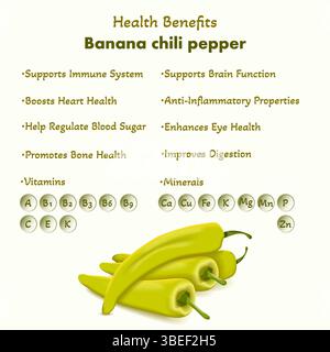 Health benefits and nutrients of Banana chili peppers or yellow wax peppers. Isolated vector illustration. Stock Vector