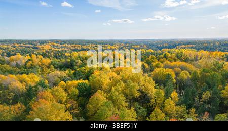Aerial view of autumn forest with autumnal leaves in yellow and orange seen from above beneath a blue sky Stock Photo