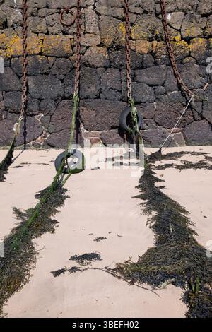 Old tires hang from chains on a stone wall, covered in seaweed, likely used as bumpers for boats docking. Stock Photo