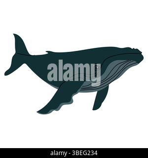 Flat illustration of a dark blue humpback whale with minimal detailing. Side view, clean style, perfect for educational materials, marine themed Stock Vector
