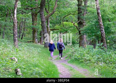 Rear back view of woman girl mother teen teenager people walking on path through woodland nature spring summer Carmarthenshire Wales UK KATHY DEWITT Stock Photo
