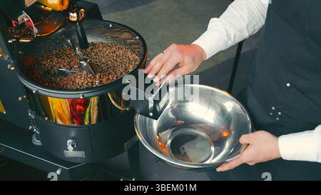 Coffee Roasting Process in Action. A close-up view of freshly roasted coffee beans being transferred from a roaster into a metal bowl. Stock Photo