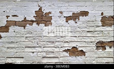 Weathered Brick Wall with Peeling White Paint. A close-up of a weathered brick wall featuring patches of peeling white paint, exposing the natural Stock Photo