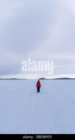 Back view of unrecognizable woman hiking across a serene, snow covered landscape near Kiruna, Sweden. The woman, dressed in a bright red jacket, moves Stock Photo