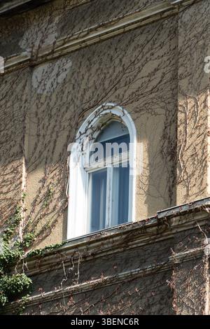 Close-up view of an old arched window framed by white molding on a historic building Stock Photo